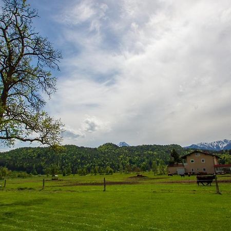Gaestehaus Dobernig Sankt Niklas an der Drau Eksteriør bilde